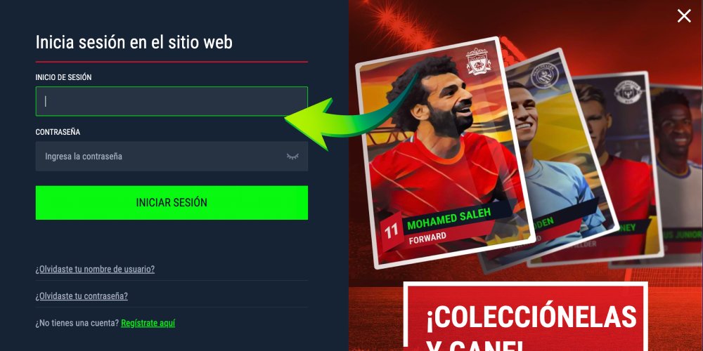 Introducir datos de la cuenta