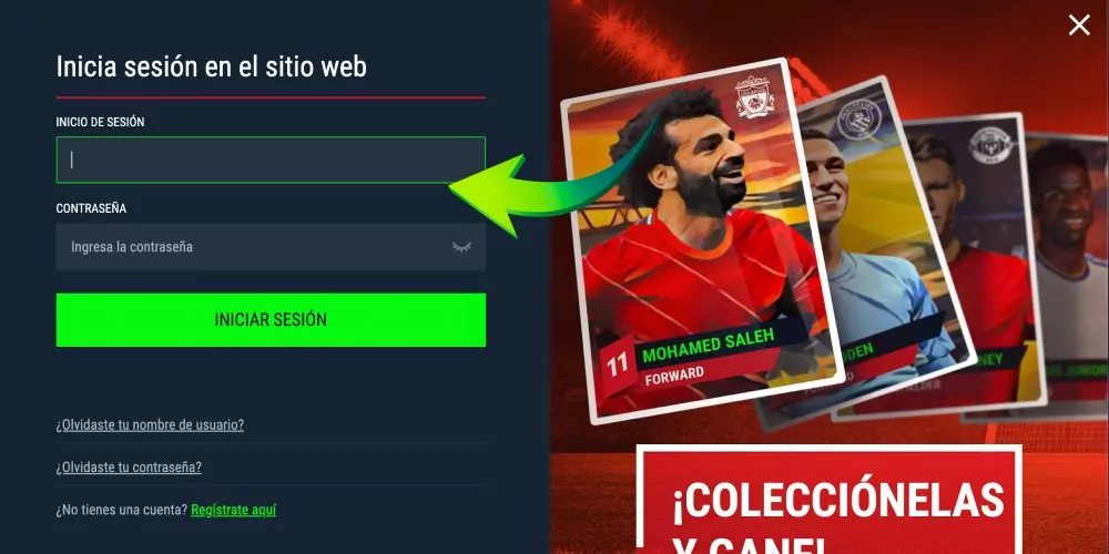 Introducir datos de la cuenta
